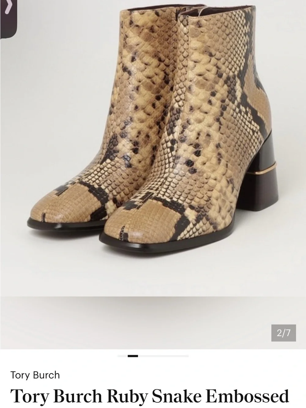 Tory Burch Snake-Embossed Ankle Boots in Natural and Black with Gold Accent
